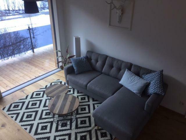 Apartment Scheffsnoth 142 Lofer